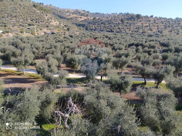 terreno agricolo in vendita a Mattinata