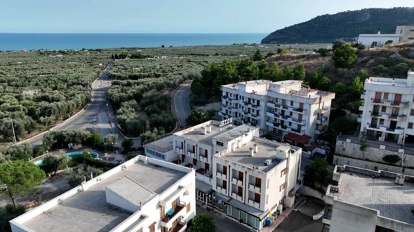 negozio in vendita a Mattinata