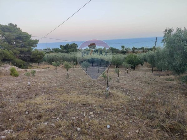 terreno agricolo in vendita a Mattinata
