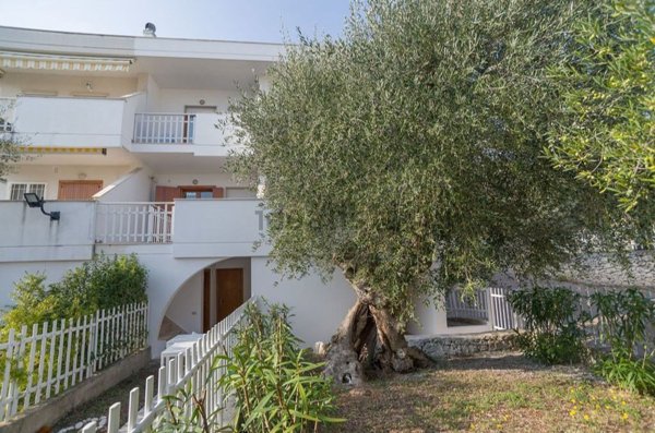 appartamento in vendita a Mattinata