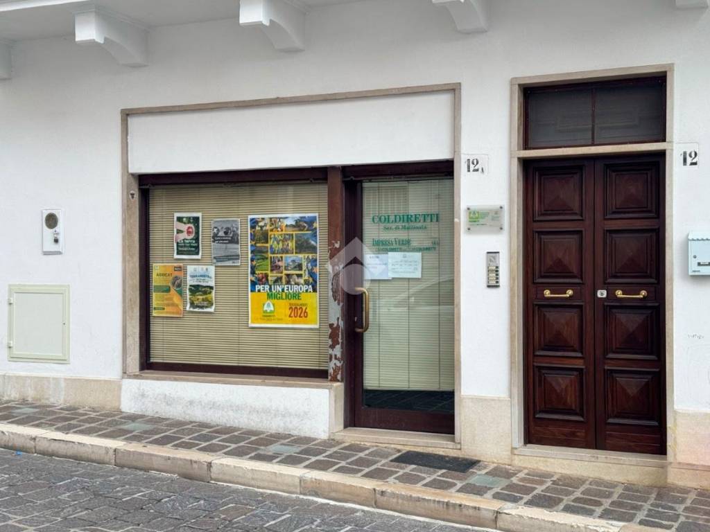 appartamento in vendita a Mattinata