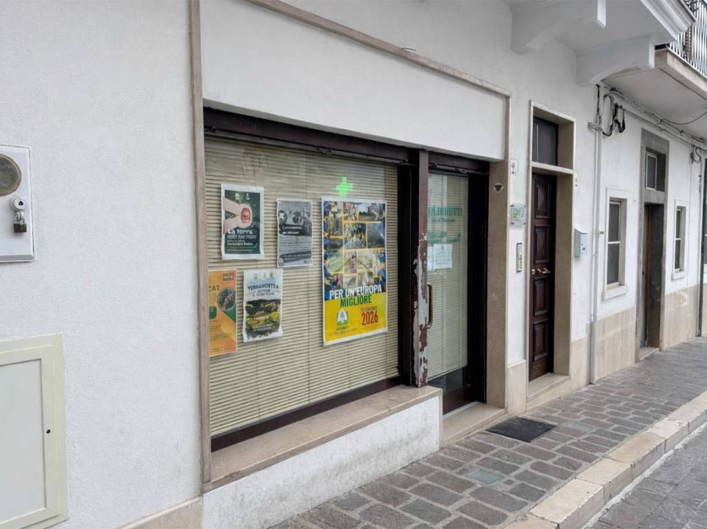 appartamento in vendita a Mattinata