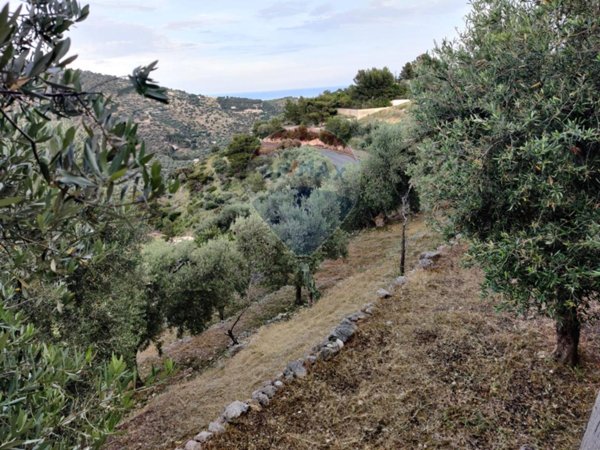 casale in vendita a Mattinata