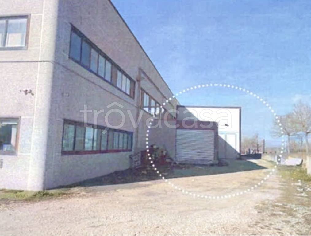 locale commerciale in vendita a Monteleone di Puglia