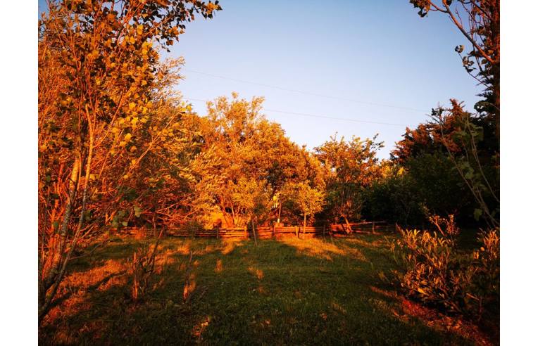 casa indipendente in vendita a Monteleone di Puglia