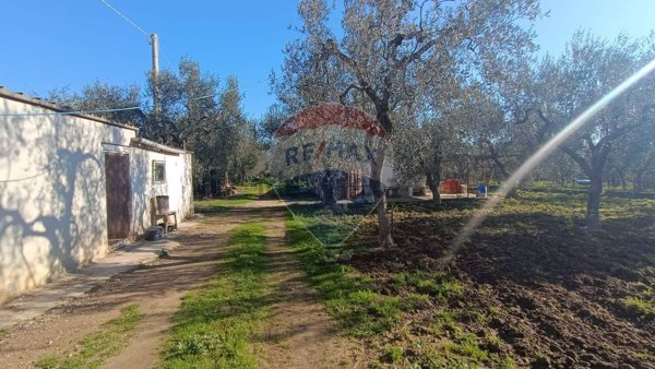 casa indipendente in vendita a Monte Sant'Angelo