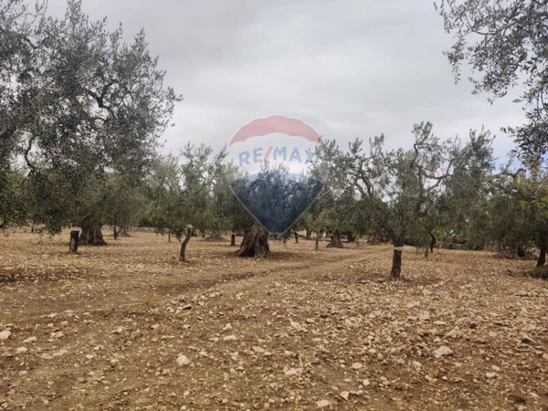 terreno agricolo in vendita a Monte Sant'Angelo