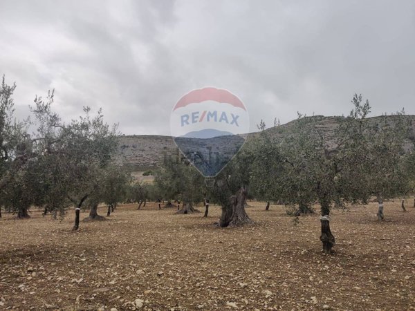 locale di sgombero in vendita a Monte Sant'Angelo