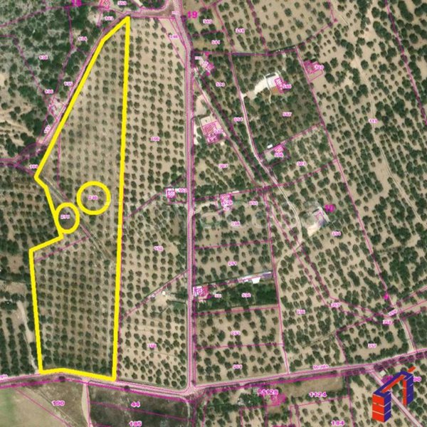 terreno agricolo in vendita a Monte Sant'Angelo