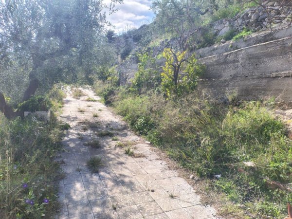 terreno agricolo in vendita a Monte Sant'Angelo