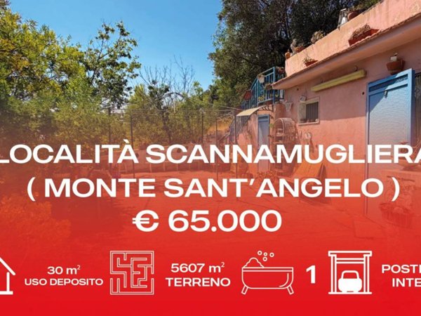 casa indipendente in vendita a Monte Sant'Angelo