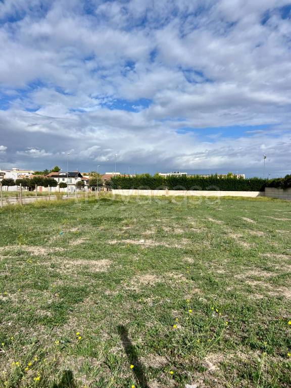 terreno agricolo in vendita ad Orta Nova