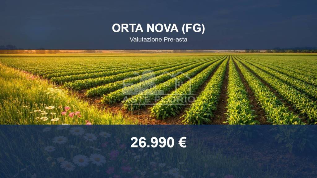 terreno agricolo in vendita ad Orta Nova