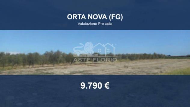 terreno agricolo in vendita ad Orta Nova