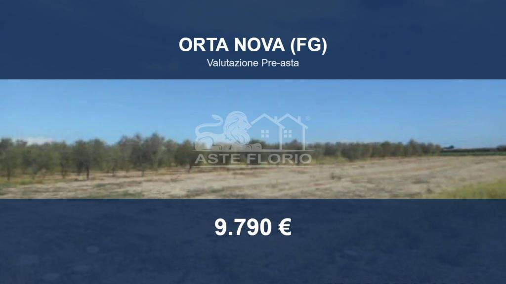 terreno agricolo in vendita ad Orta Nova