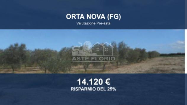 terreno agricolo in vendita ad Orta Nova