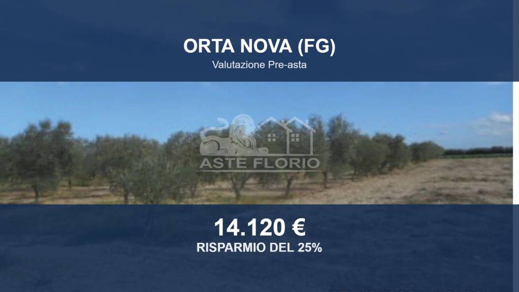 terreno agricolo in vendita ad Orta Nova