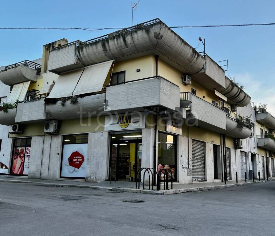 appartamento in vendita ad Orta Nova