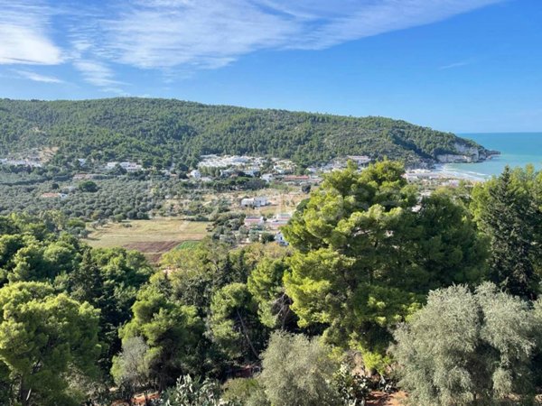 appartamento in vendita a Peschici