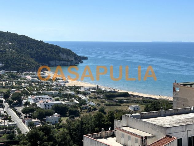 appartamento in vendita a Peschici