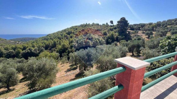 casa indipendente in vendita a Peschici in zona Manaccora