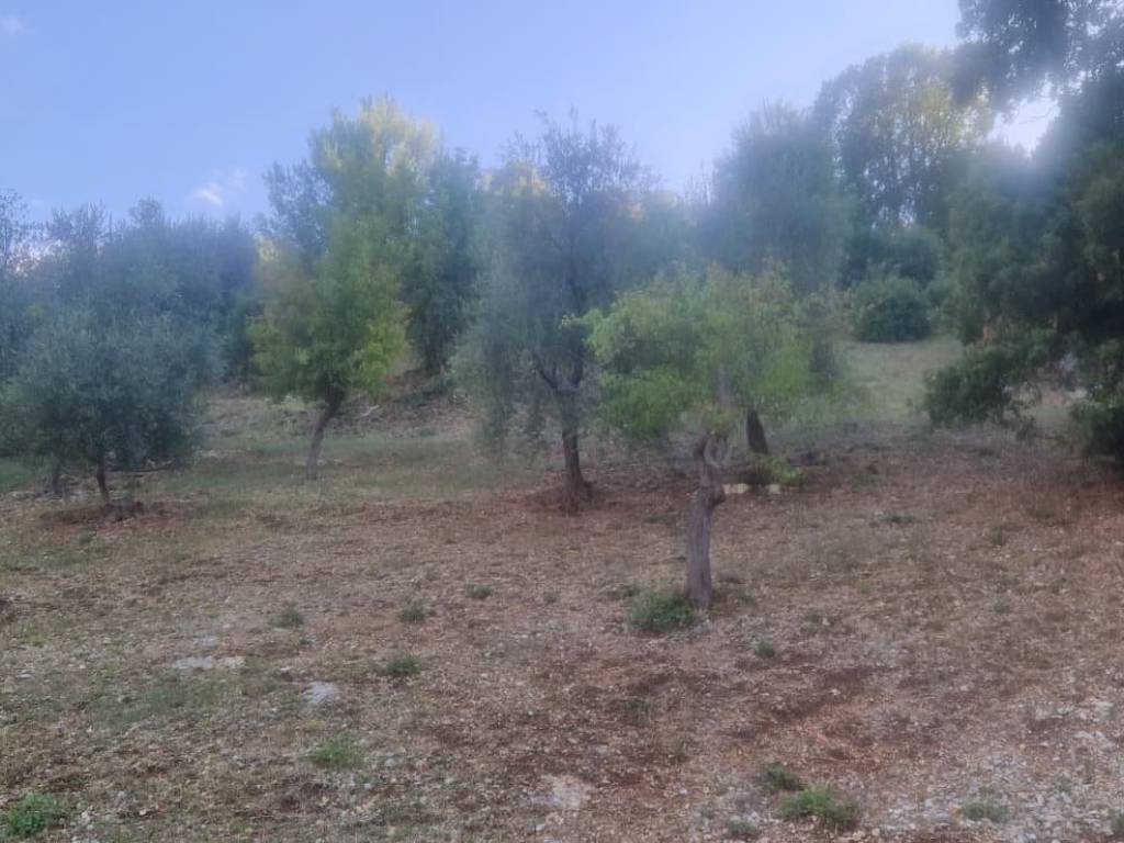 ufficio in vendita a Peschici