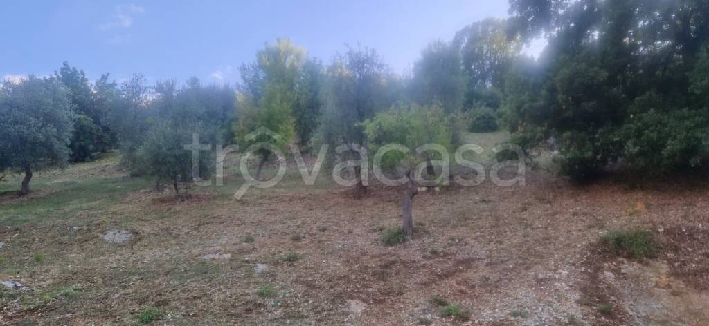 ufficio in vendita a Peschici