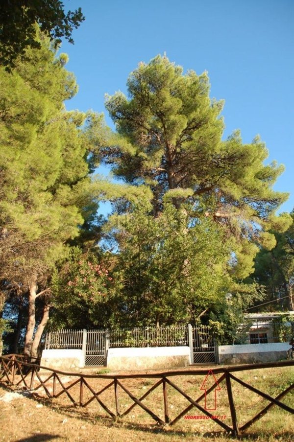 appartamento in vendita a Peschici