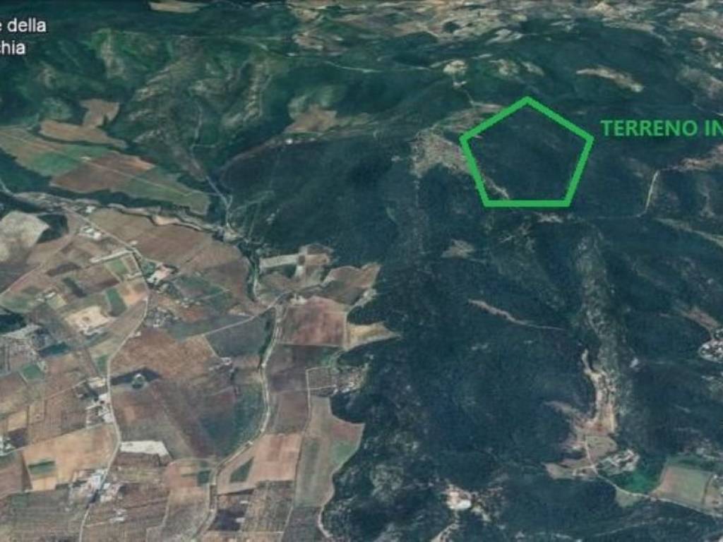 casa indipendente in vendita a Peschici