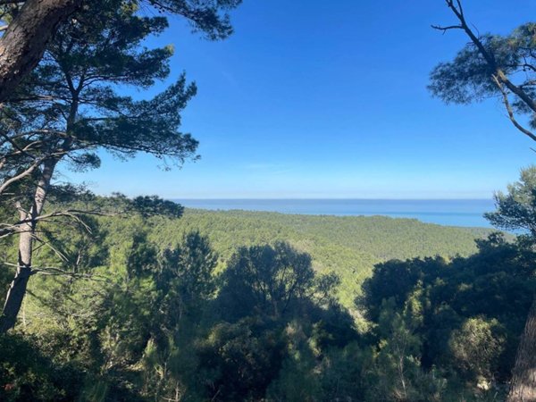 terreno agricolo in vendita a Peschici