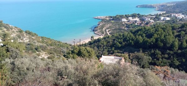 casa indipendente in vendita a Peschici