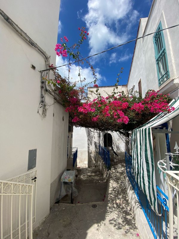 appartamento in vendita a Peschici