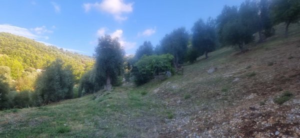 terreno in vendita a Peschici