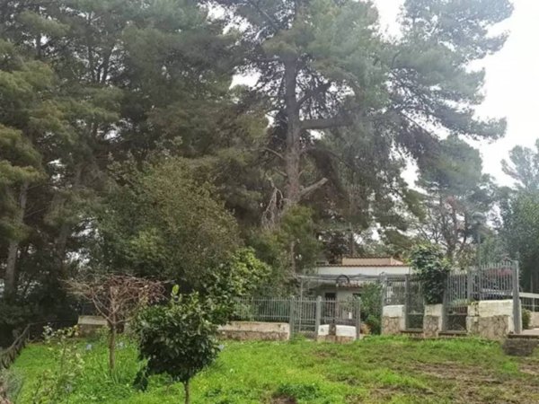 casa indipendente in vendita a Peschici