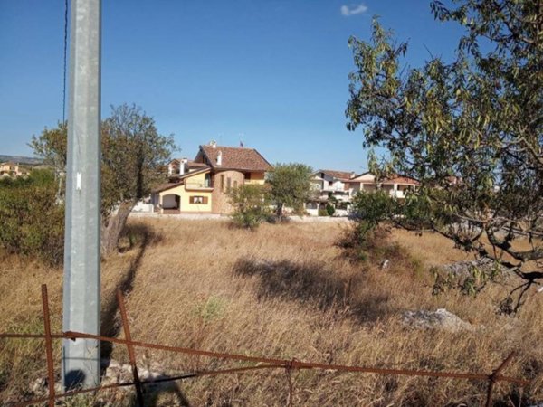 terreno agricolo in vendita a Rignano Garganico