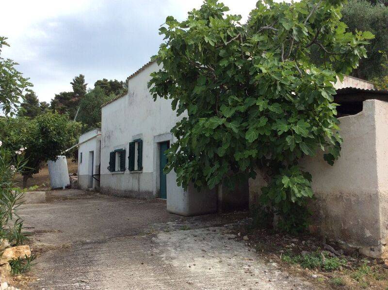terreno agricolo in vendita a Rodi Garganico