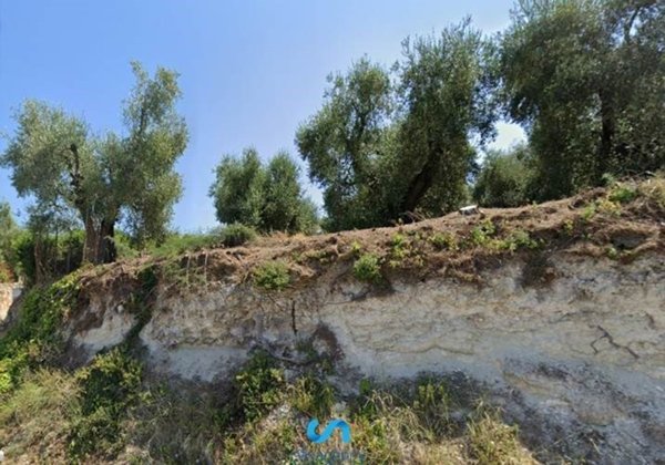 negozio in vendita a Rodi Garganico in zona Lido del Sole
