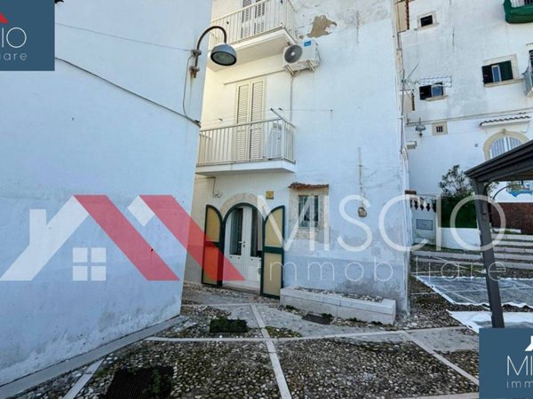 appartamento in vendita a Rodi Garganico