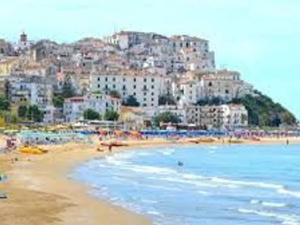 appartamento in vendita a Rodi Garganico