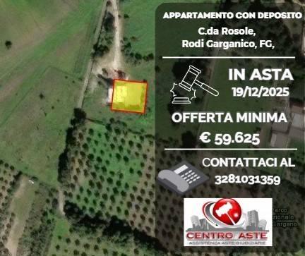 appartamento in vendita a Rodi Garganico