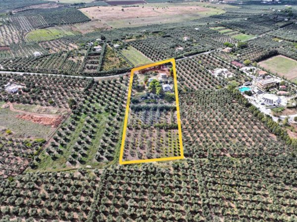 appartamento in vendita a Rodi Garganico in zona Lido del Sole