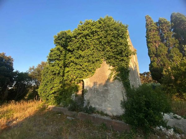 casa indipendente in vendita a Rodi Garganico
