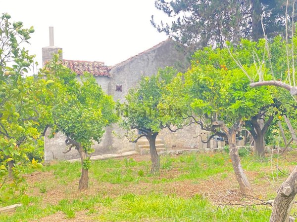 appartamento in vendita a Rodi Garganico