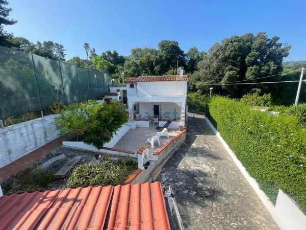 casa indipendente in vendita a Rodi Garganico