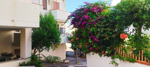 appartamento in vendita a Rodi Garganico