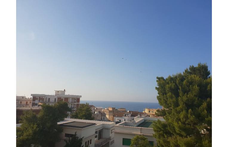 appartamento in vendita a Rodi Garganico