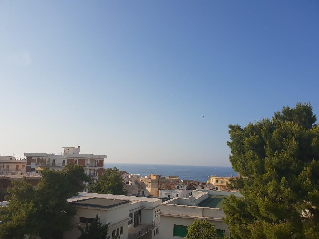 appartamento in vendita a Rodi Garganico