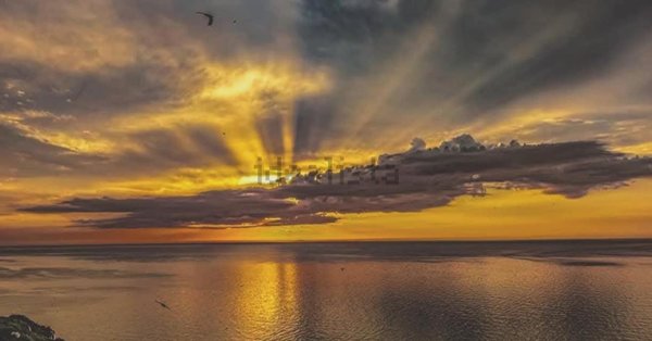 appartamento in vendita a Rodi Garganico