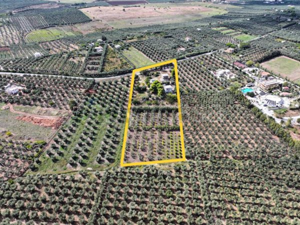 terreno agricolo in vendita a Rodi Garganico in zona Lido del Sole