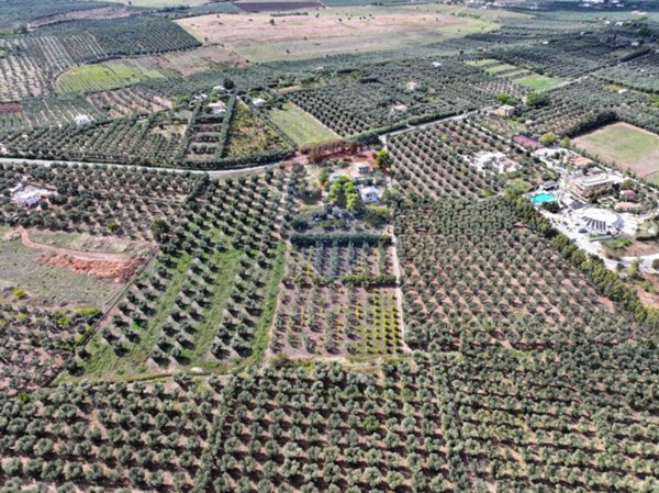 terreno agricolo in vendita a Rodi Garganico in zona Lido del Sole